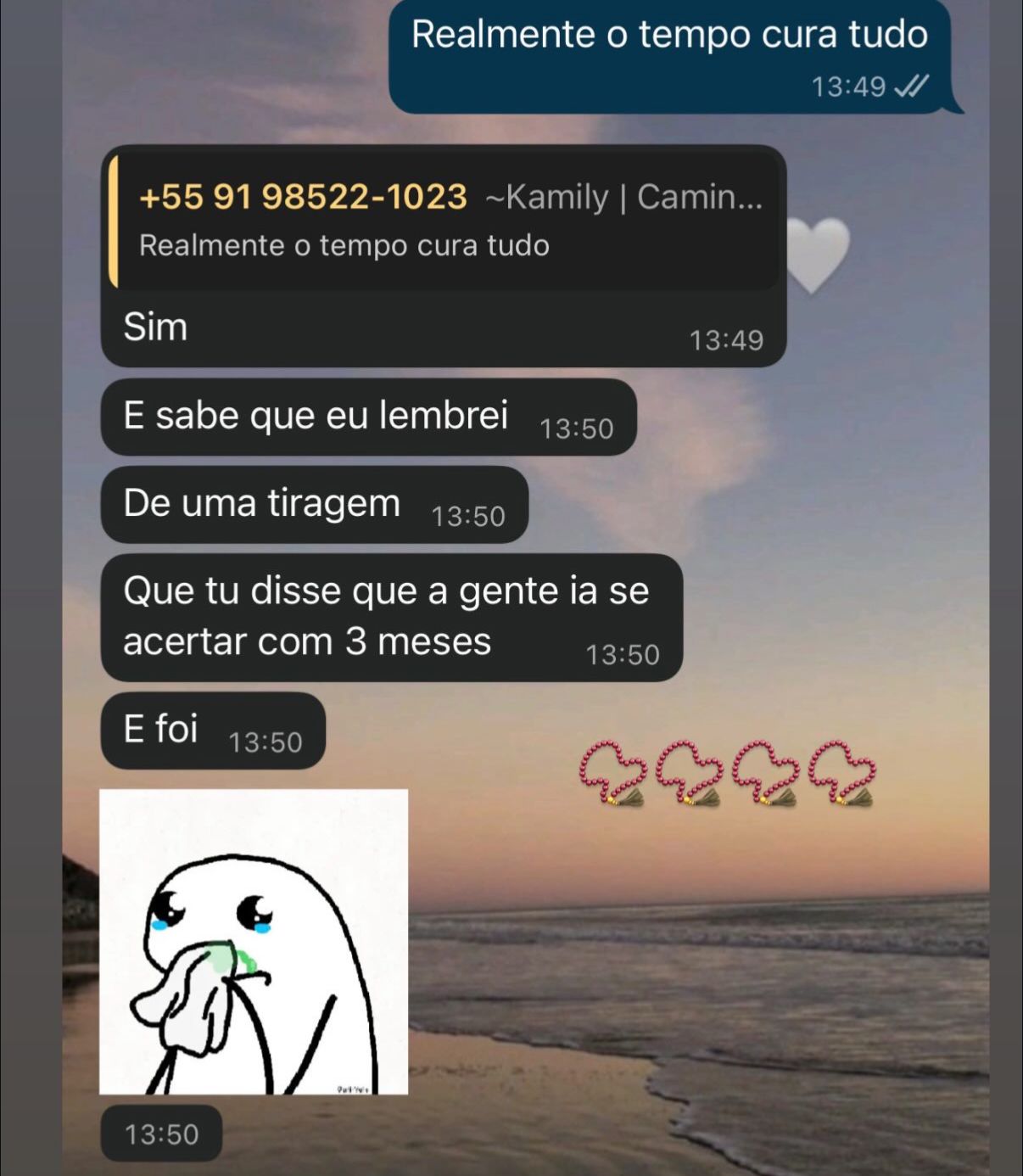 Depoimento de cliente em print de conversa — 10 de 10